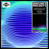 Without You (Drum & Bass Mix) track artwork