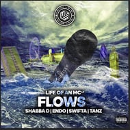 Flows track artwork