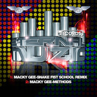 Snake fist school remix track artwork