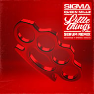 Little Things - Serum Remix track artwork