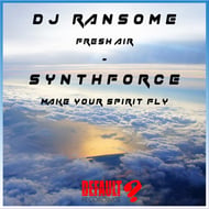 Make Your Spirit Fly track artwork