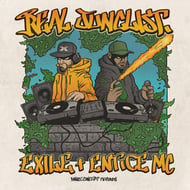 Real Junglist track artwork