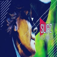 Dreamer track artwork