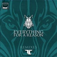 Everything For A Reason - TCTS Remix track artwork