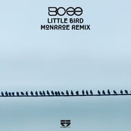 Little Bird - Monrroe Remix track artwork