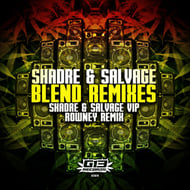 Blend - Rowney Remix track artwork