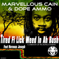 Tired Fi Lick Weed In A Bush track artwork