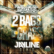 2 Bags Of Grass - Jayline Remix track artwork