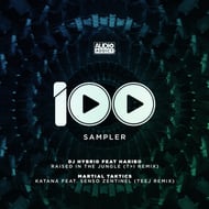 Raised In The Jungle - T>I Remix track artwork