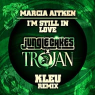 I'm Still in Love - Kleu Remix - Edit track artwork