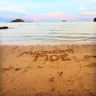 Midnight Tide track artwork