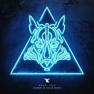 Have You - Sound in Noise Remix track artwork