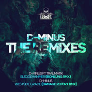 Westside Grade - Damage Report Remix track artwork