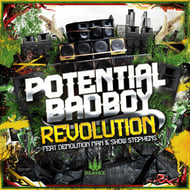 Revolution - Tyke Dub Remix track artwork