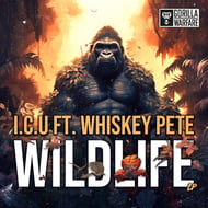 NO.1 track artwork