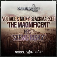 The Magnificent track artwork