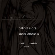 Badder track artwork