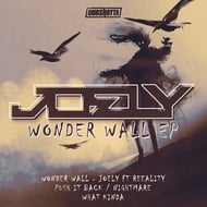 Wonder Wall track artwork