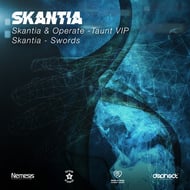 Taunt VIP track artwork