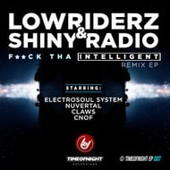 F*ck Tha Intelligent - Nuvertal Remix track artwork