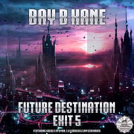 Fly With Me - Original Mix track artwork