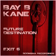 Don't Ask Me Why track artwork