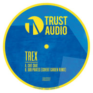 Dub Pirates - Covert Garden Remix track artwork