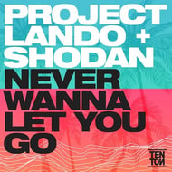 Never Wanna Give You Up track artwork