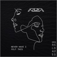 Never Have I Felt This track artwork