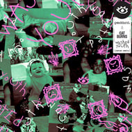 Wasted Youth (feat. Cat Burns) - Serum Remix track artwork