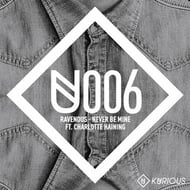 Never Be Mine - Radio Edit track artwork