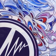 Hollow Soul track artwork