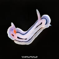 Waiting track artwork