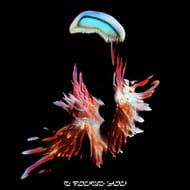 I Found You - Grafix Remix track artwork