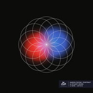 Unexplained track artwork
