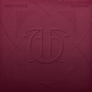 Anntower track artwork