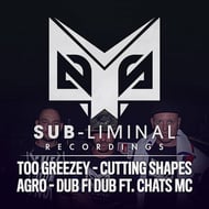 Dub Fi Dub track artwork