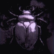 Immortal track artwork
