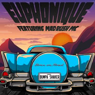 Bumpa Shaker track artwork
