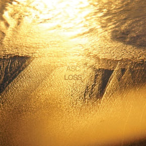 Loss by ASC Cover Art