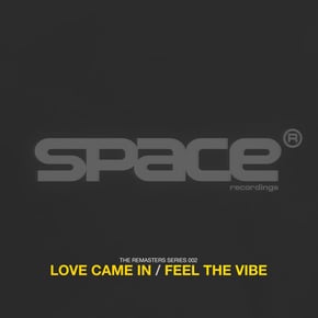 Love Came In / Feel The Vibe by Sonic Cover Art