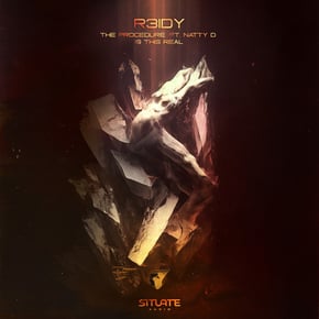 The Procedure/Is This Real by R3IDY Cover Art