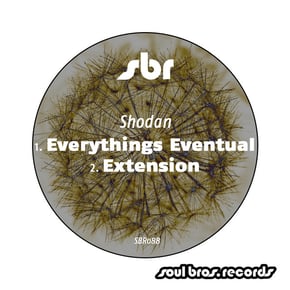 Everythings Eventual / Extension by Shodan Cover Art