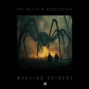 Weaving Spiders by Ant Miles Cover Art