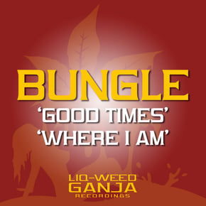 Good Times / Where am I by Bungle Cover Art