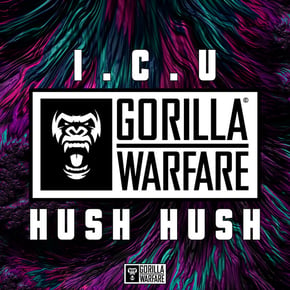 Hush Hush by I.C.U Cover Art
