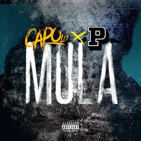 Mula by P Money & Capo Lee Cover Art