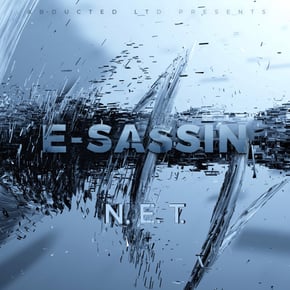 N.E.T. by E-Sassin Cover Art
