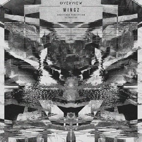 Shattered Perception / Detractor by Wingz Cover Art