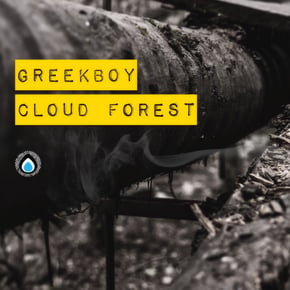 Cloud Forest Ep by Greekboy Cover Art